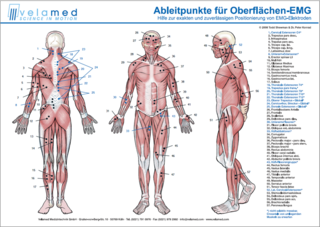 Biodex System Emg Entdecken Neue Therapiewege